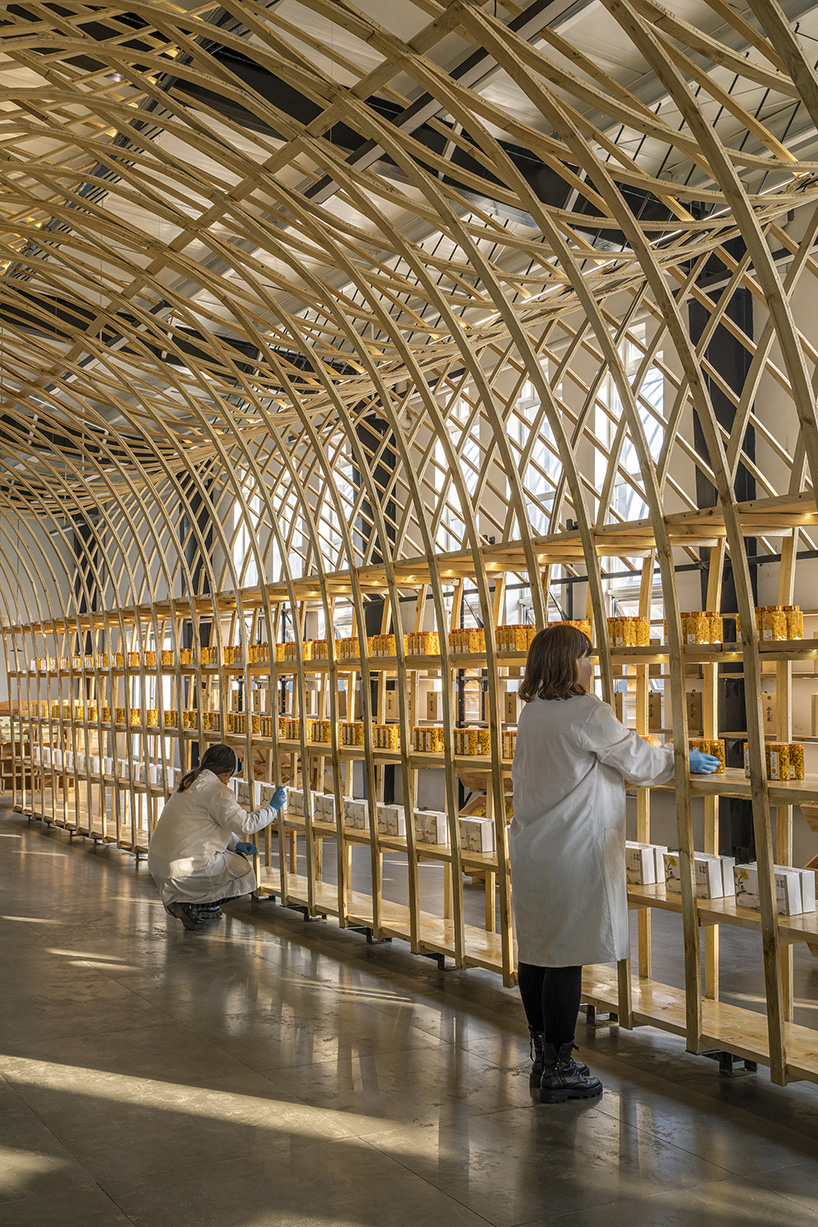 yuntai ice chrysanthemum display 11