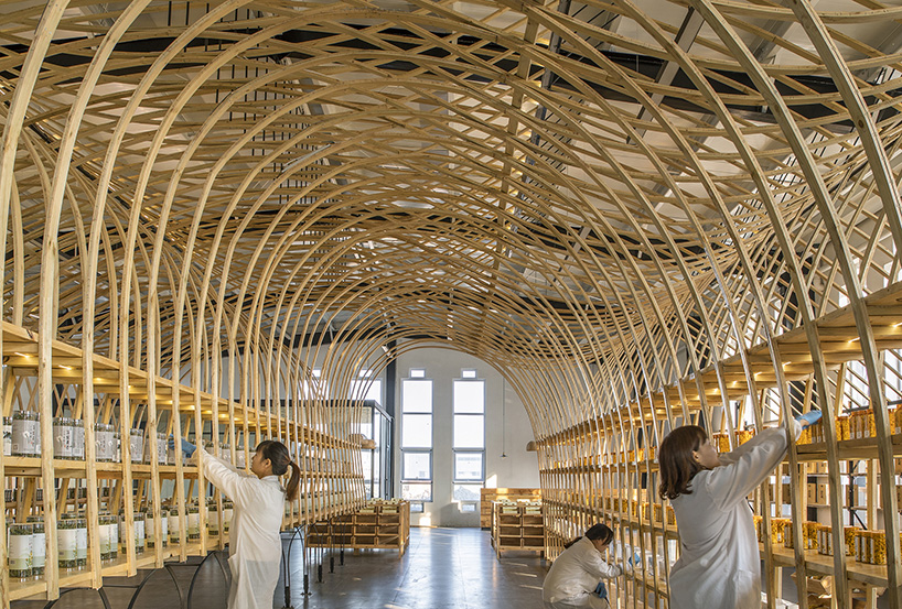 yuntai ice chrysanthemum display 7