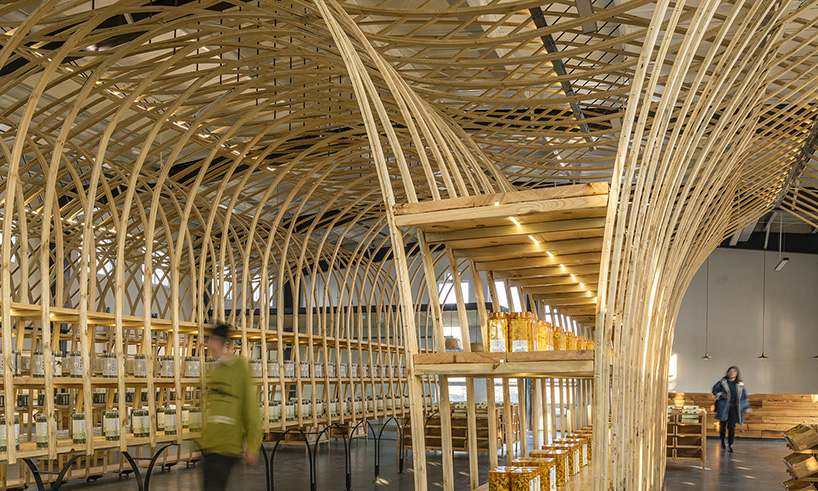 yuntai ice chrysanthemum display 9