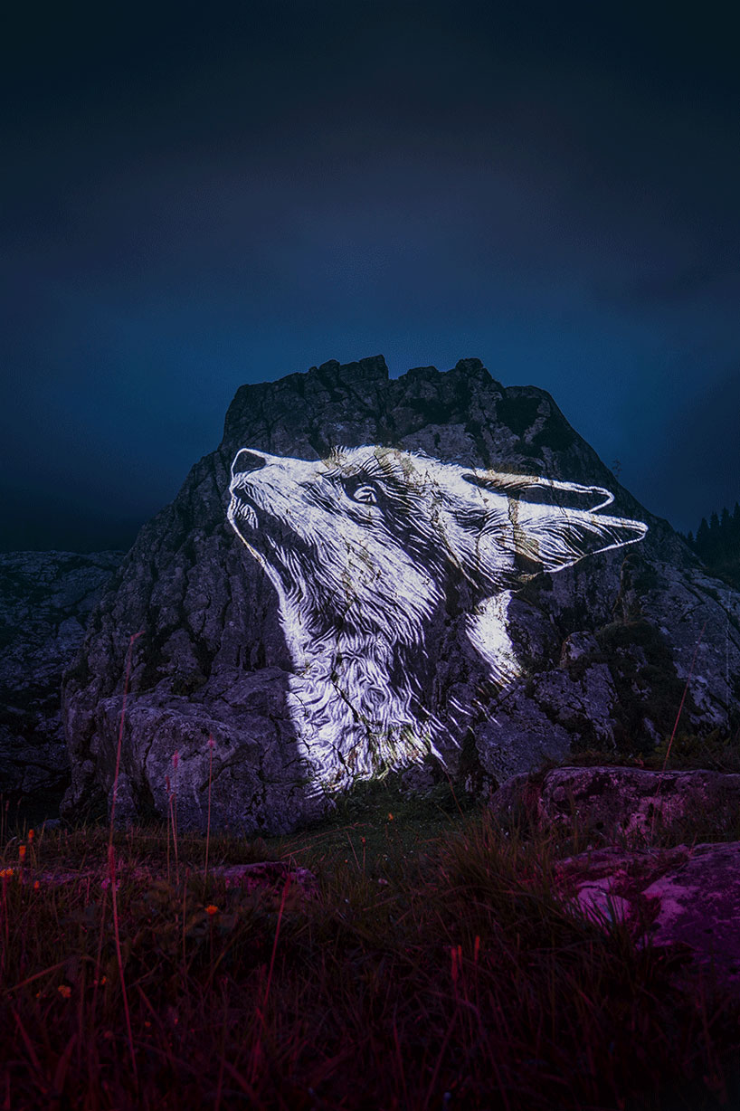 julien nonnon raises awareness by projecting endangered animals onto alpine mountains