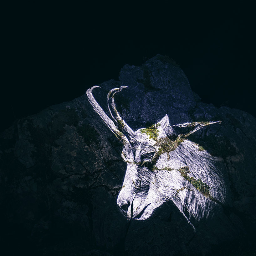 julien nonnon raises awareness by projecting endangered animals onto alpine mountains