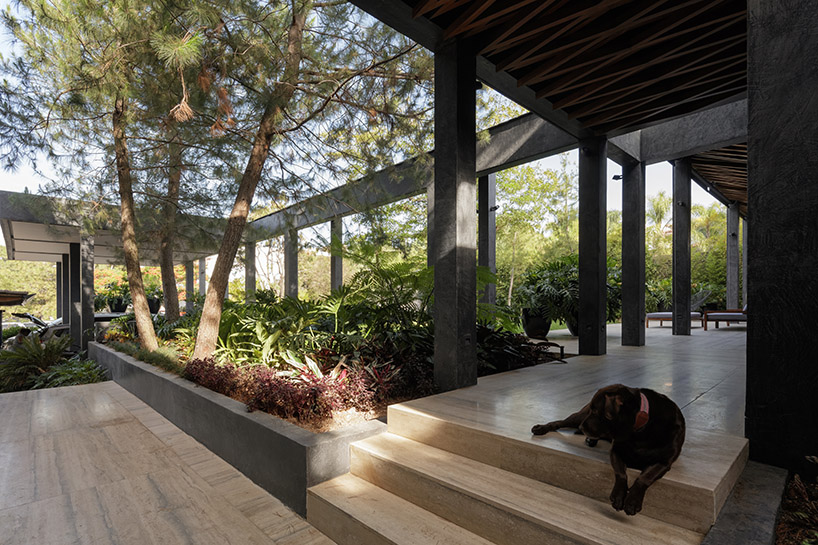 tallerdea-three-garden-house-zapopan-jalisco-mexico-09-25-2019-designboom