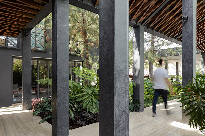 tallerdea-three-garden-house-zapopan-jalisco-mexico-09-25-2019-designboom