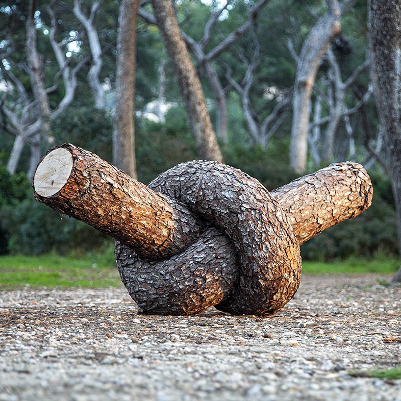 monsieur plant contorts fantastical tree trunk sculptures to explore the powers of nature