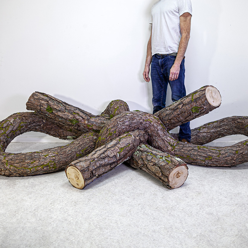 monsieur plant contorts fantastical tree trunk sculptures to explore the powers of nature