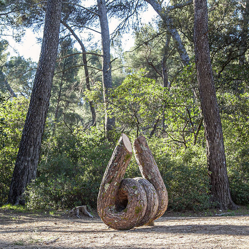 monsieur plant contorts fantastical tree trunk sculptures to explore the powers of nature