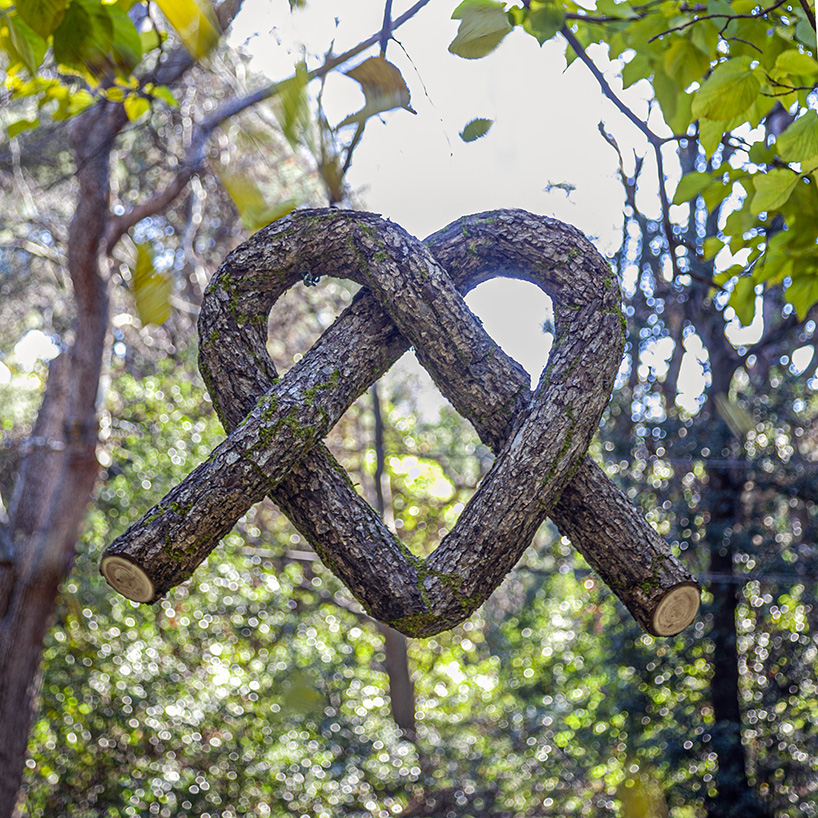 monsieur plant contorts fantastical tree trunk sculptures to explore the powers of nature