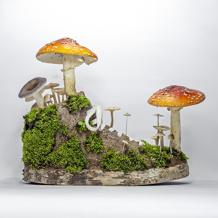 monsieur plant carves a series of sneakers out of tree barks and growing fungi