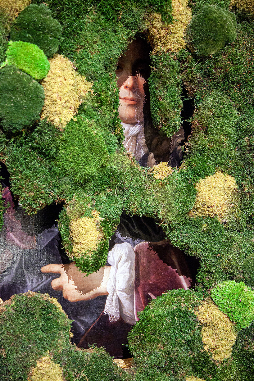 monsieur plant's exhibition crafts immersive, plant-centric journey pondering deforestation