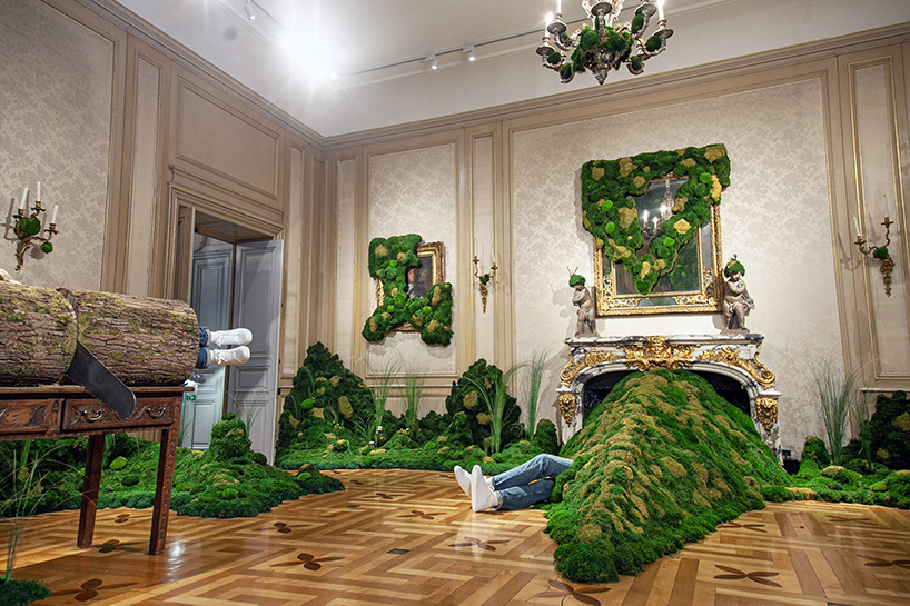 monsieur plant's exhibition crafts immersive, plant-centric journey pondering deforestation