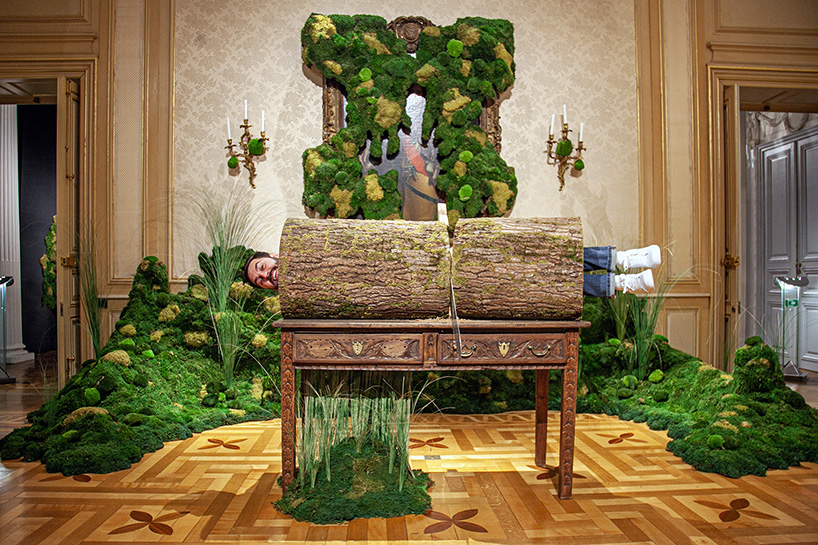 monsieur plant's exhibition crafts immersive, plant-centric journey pondering deforestation