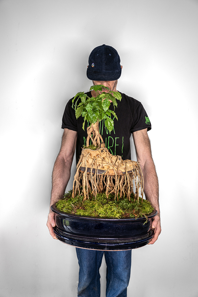 roots of bonzai trees grow through sneakers in monsieur plant's botanical sculpture series