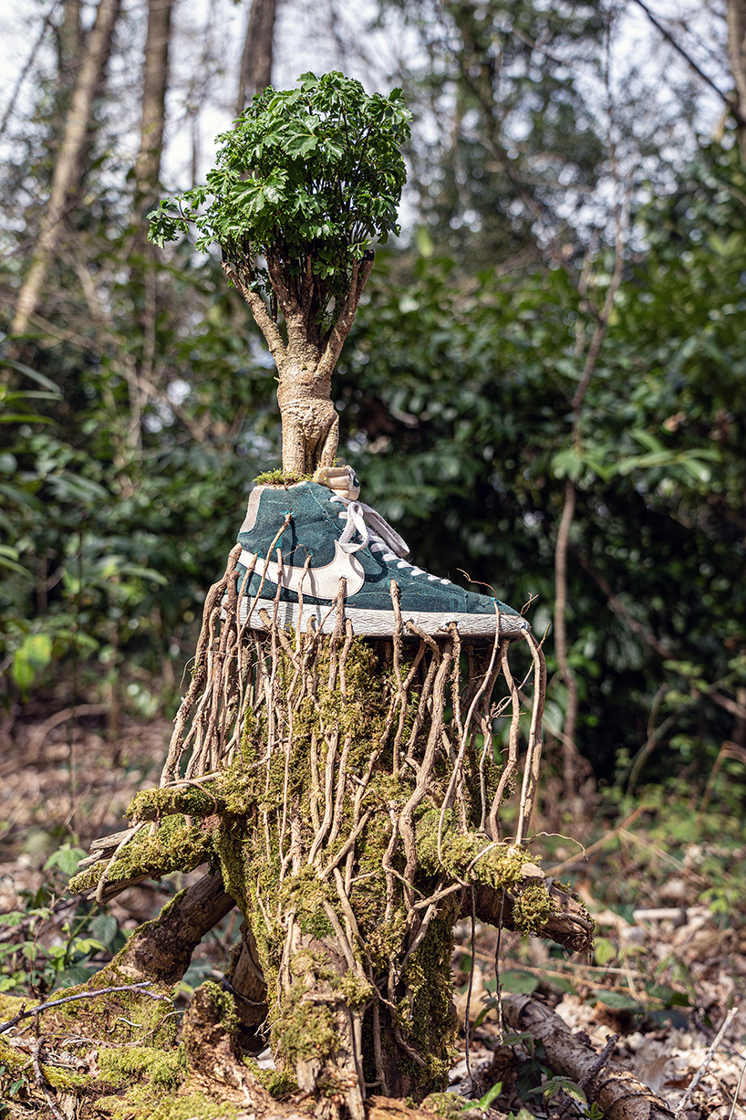 roots of bonzai trees grow through sneakers in monsieur plant's botanical sculpture series