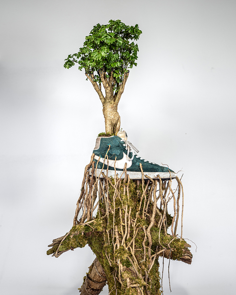 roots of bonzai trees grow through sneakers in monsieur plant's botanical sculpture series