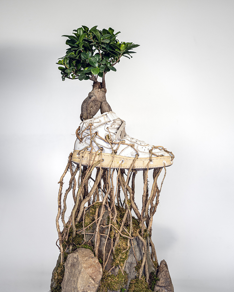 roots of bonzai trees grow through sneakers in monsieur plant's botanical sculpture series