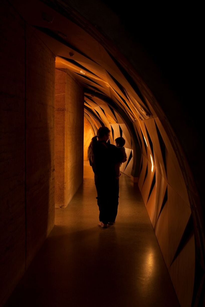 CASA builds a ‘womb-like' early learning center for a maori tribe in new zealand designboom