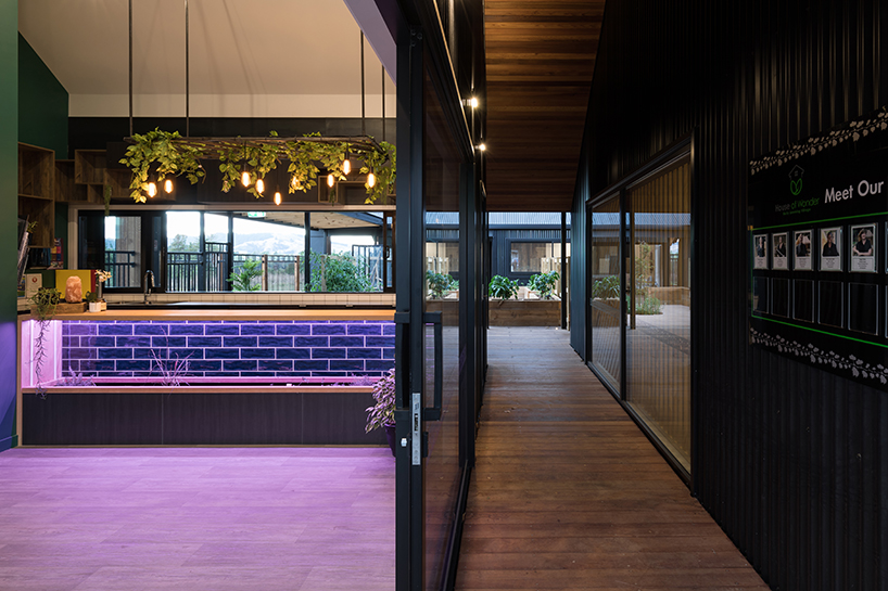 casa designs a series of barn like forms for an early childcare centre in the countryside setting of cambridge new zealand 3