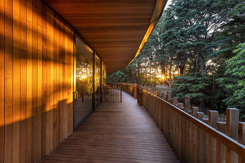 leaf-shaped roof tops gaia forest preschool center's structure in new zealand
