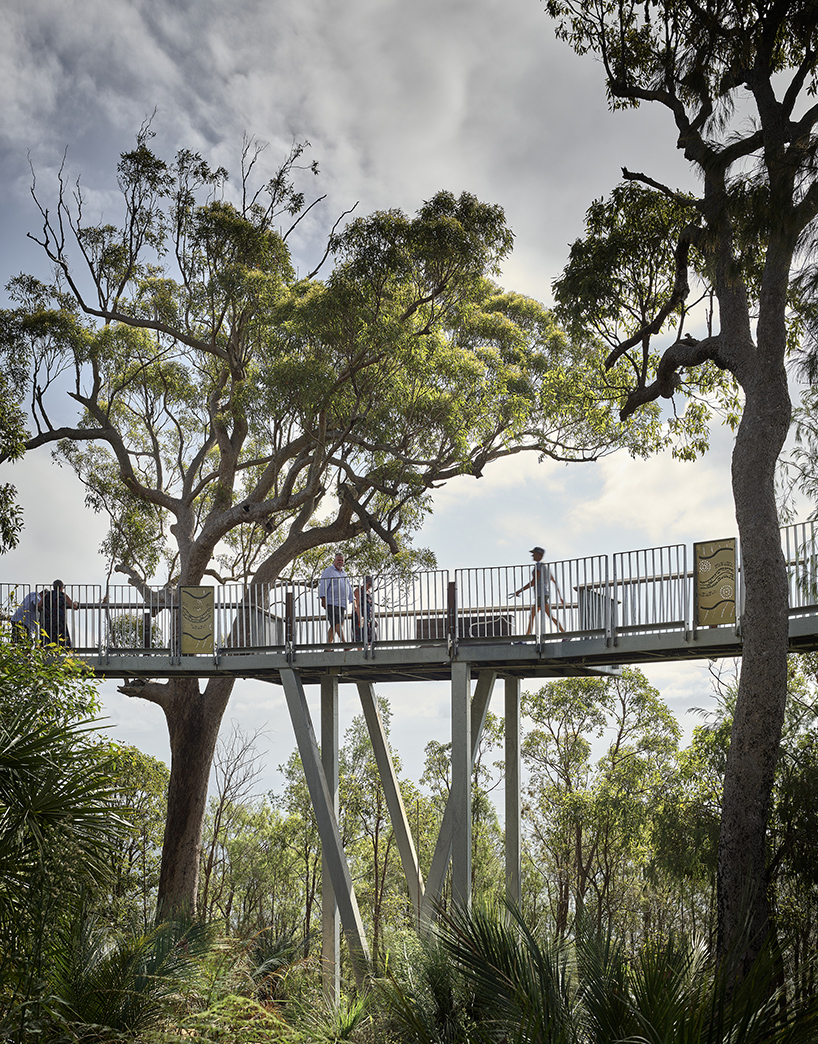 mt archer boardwalk and amphitheatre 7