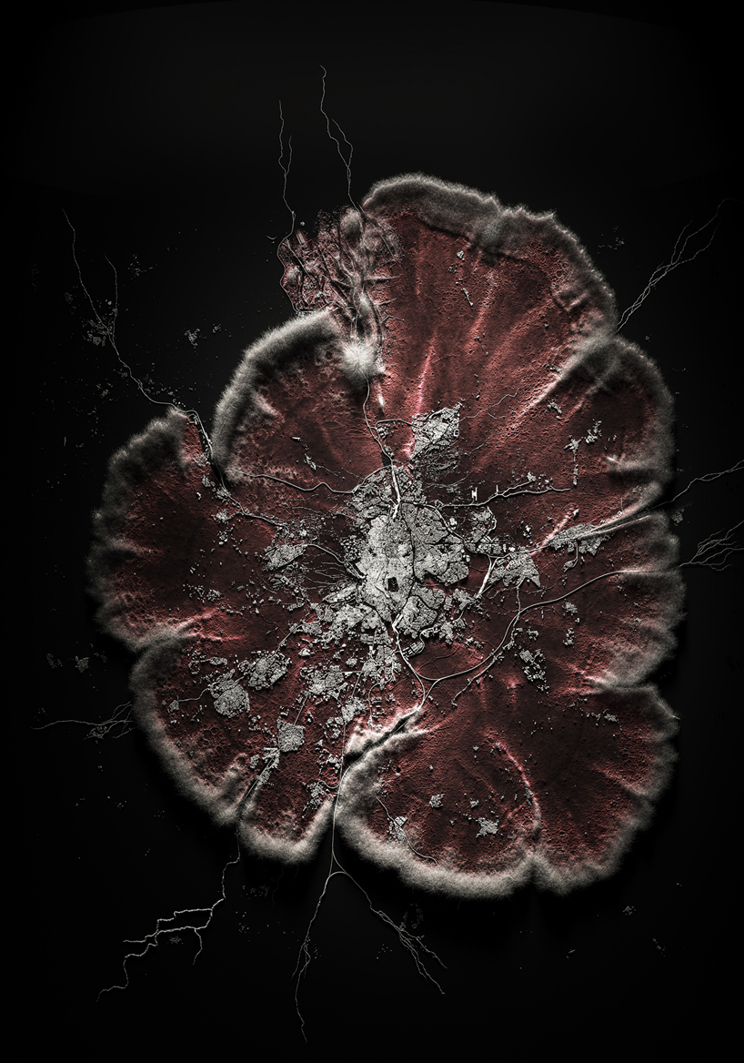 quatre caps compares today's cities to parasites with 'the nice host'