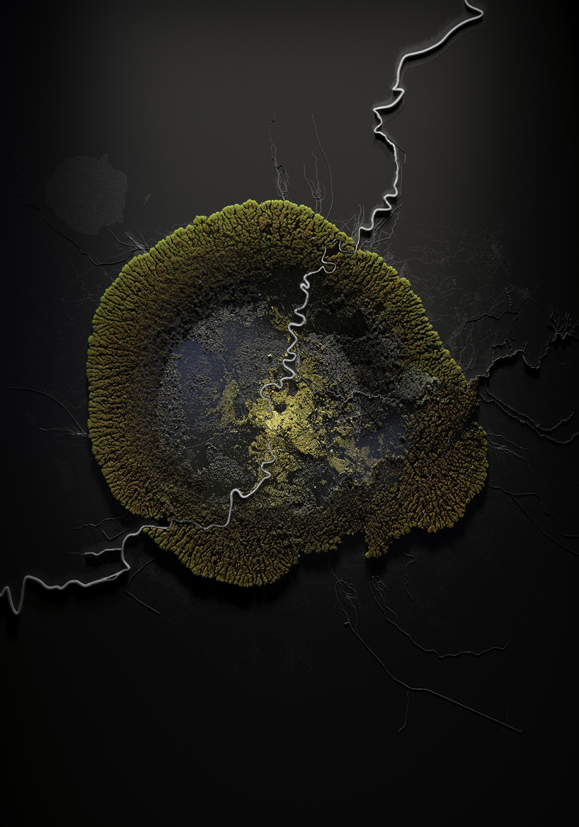 quatre caps compares today's cities to parasites with 'the nice host'