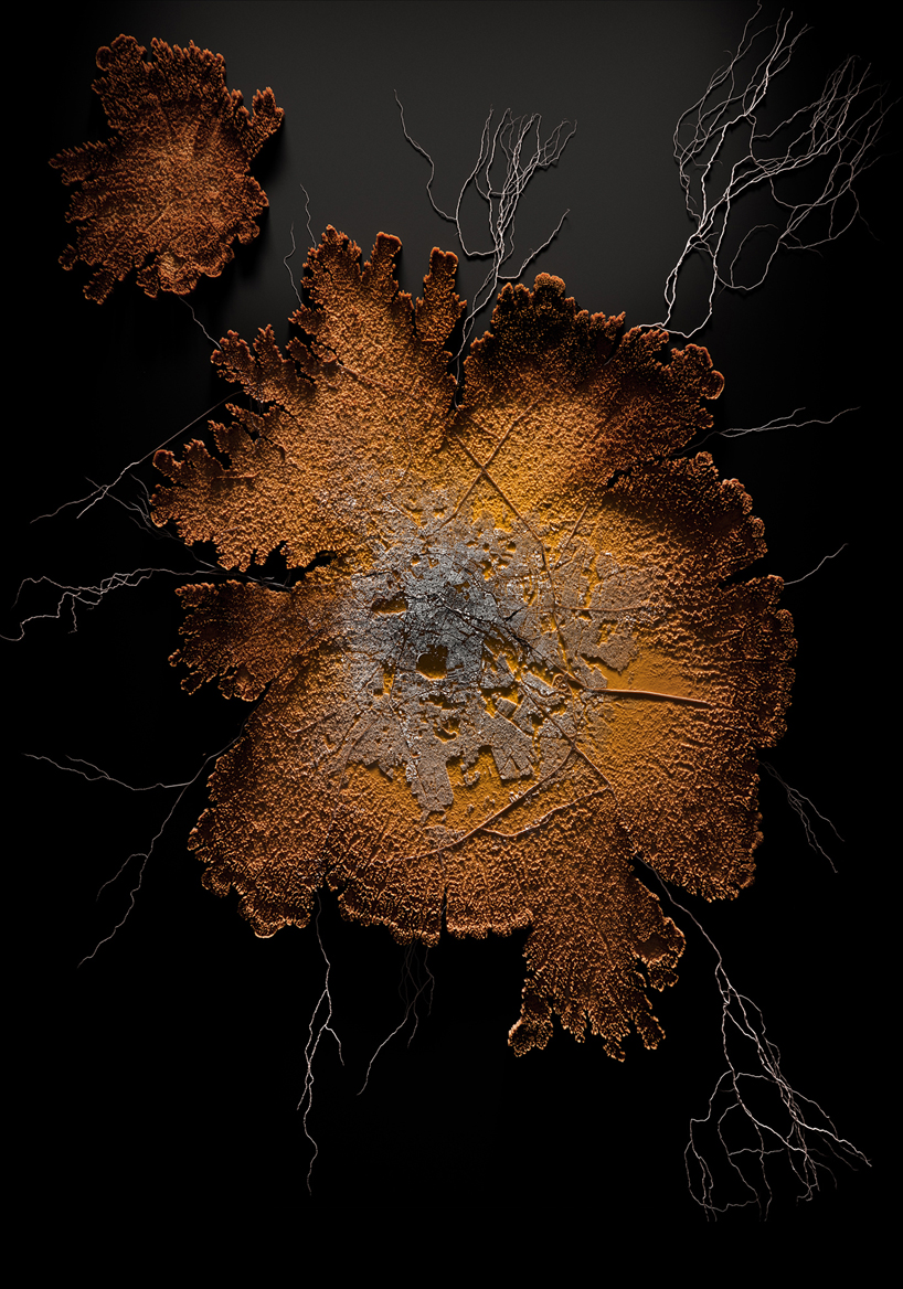 quatre caps compares today's cities to parasites with 'the nice host'