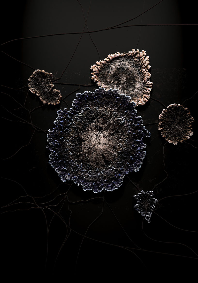 quatre caps compares today's cities to parasites with 'the nice host'