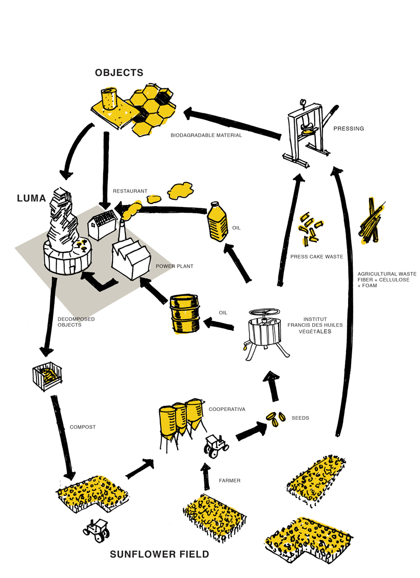 studio thomas vailly and atelier luma transform sunflowers into biodegradable materials designboom