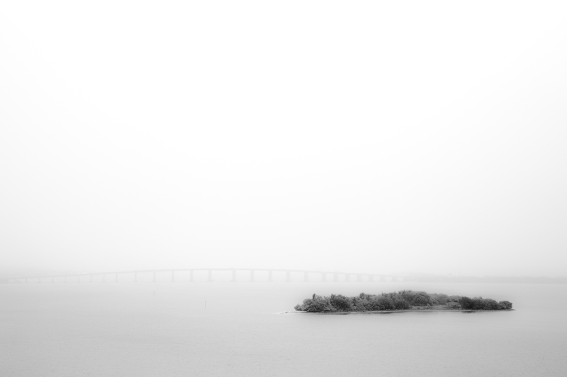 harvard GSD launches 'the future of the american city' to propose alternative ways of living designboom