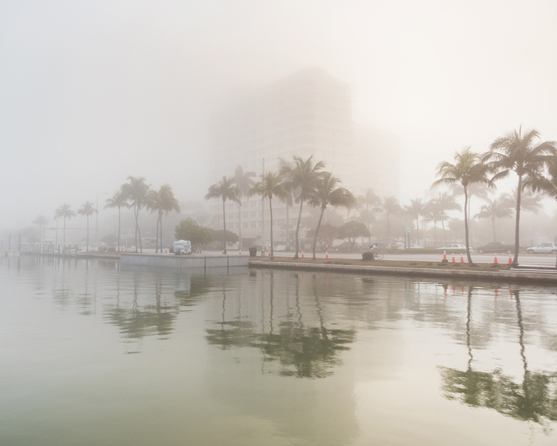 harvard GSD launches 'the future of the american city' to propose alternative ways of living designboom