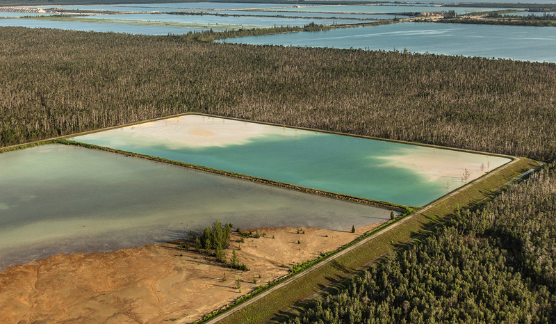 harvard GSD launches 'the future of the american city' to propose alternative ways of living designboom