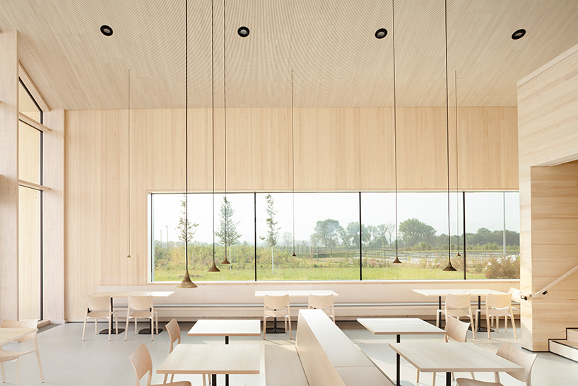 MONO architekten unites service station with archaeological exhibition in german plains
