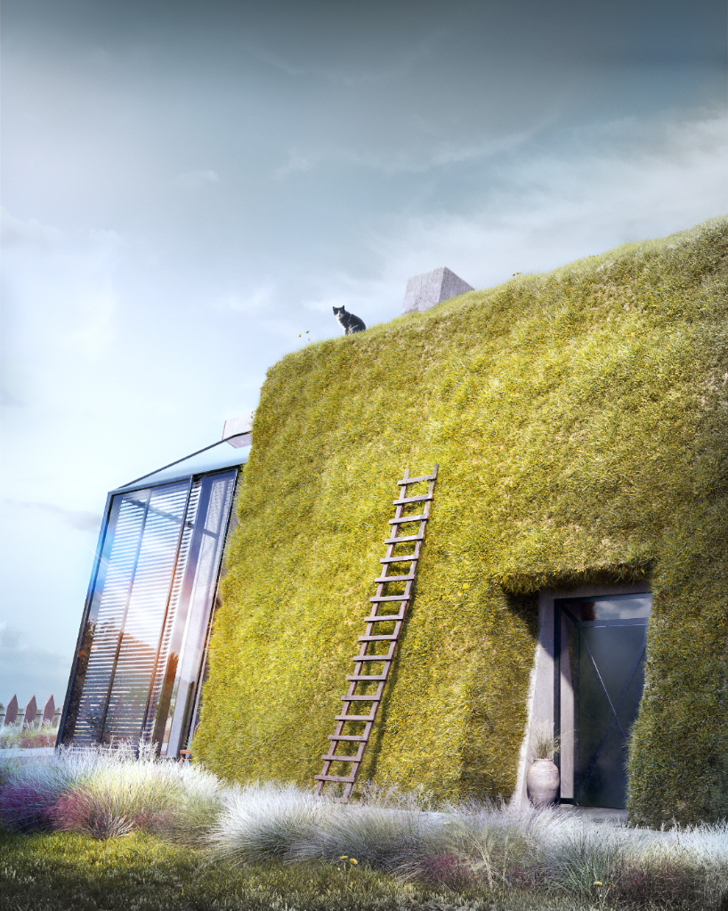 greenhouse by wamhouse studio is a modern cottage covered in timber and grass designboom