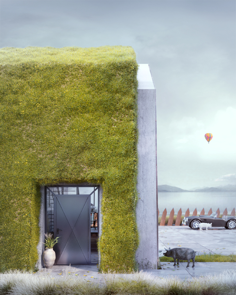 greenhouse by wamhouse studio is a modern cottage covered in timber and grass designboom