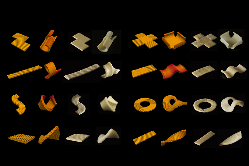 researchers from carnegie mellon university develop flat pasta that morphs into 3D shapes when cooked