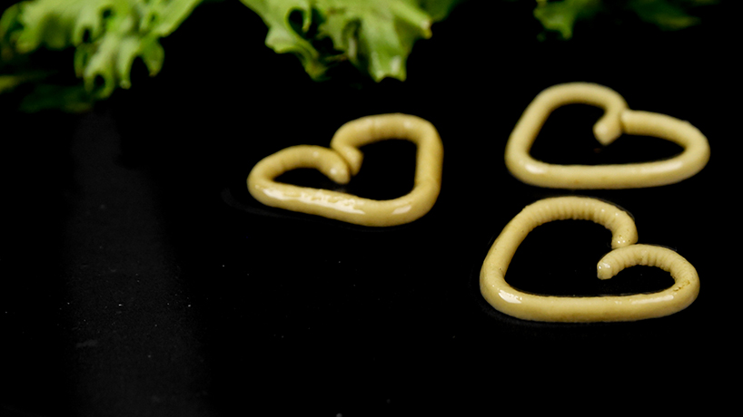 this pasta could morphs into shape when cooked 2