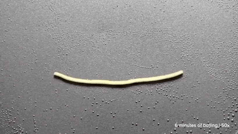 this pasta could morphs into shape when cooked 3