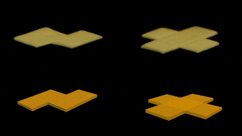 this pasta could morphs into shape when cooked 4