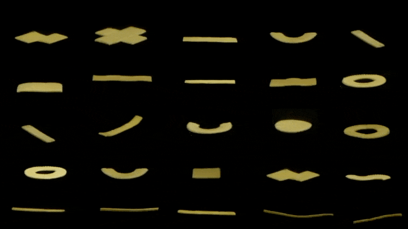 researchers from carnegie mellon university develop flat pasta that morphs into 3D shapes when cooked