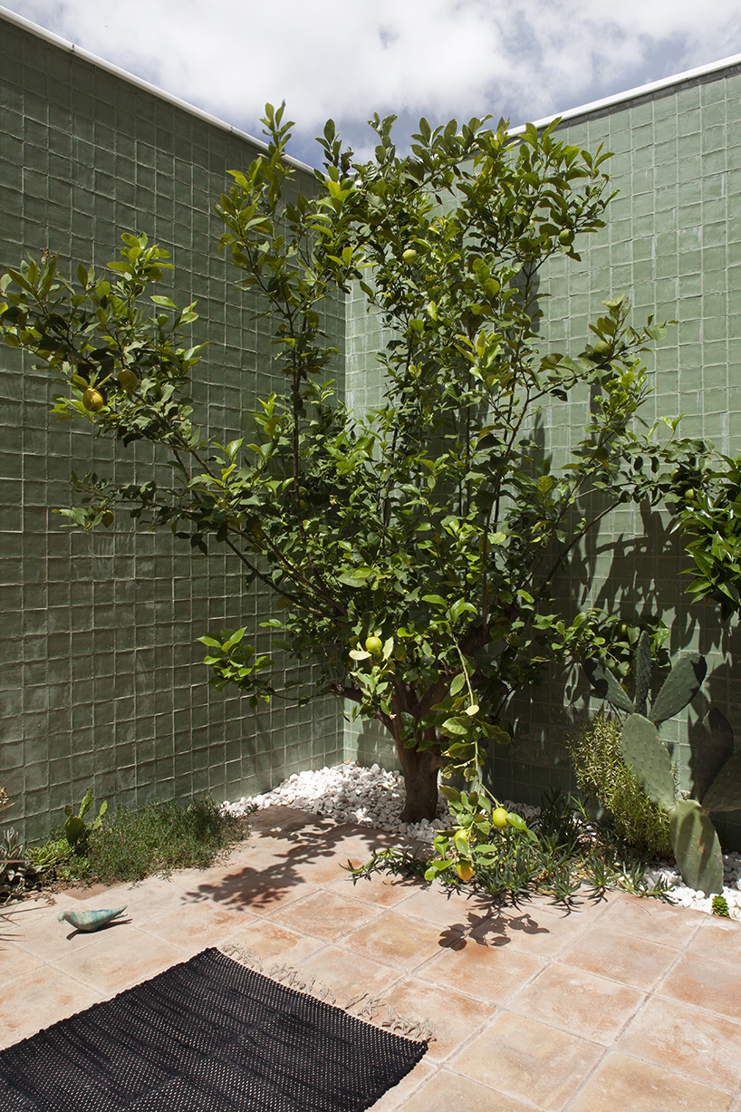 leopold banchini exposes the concrete structure of casa do monte in lisbon designboom