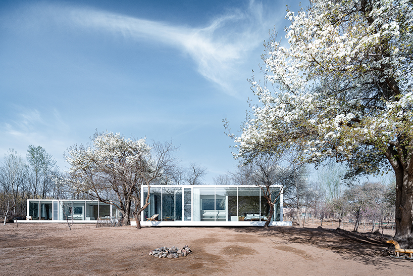 STUDIO QI builds the 'stray bird' boutique hotel in a chinese oasis designboom
