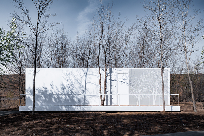 STUDIO QI builds the 'stray bird' boutique hotel in a chinese oasis designboom