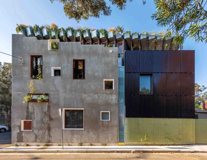 'welcome to the jungle house' by CplusC enables sustainable living in sydney designboom