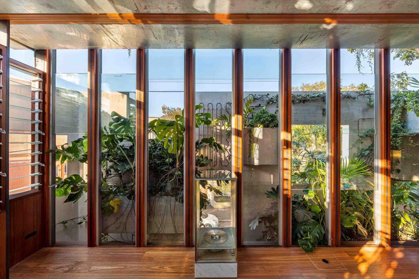 'welcome to the jungle house' by CplusC enables sustainable living in sydney designboom