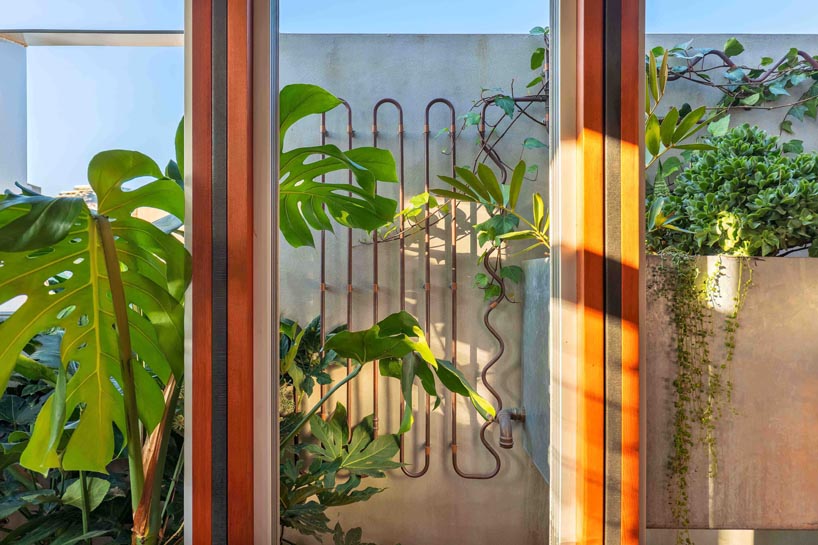 'welcome to the jungle house' by CplusC enables sustainable living in sydney designboom