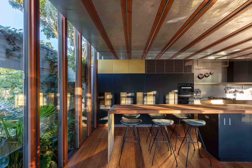 'welcome to the jungle house' by CplusC enables sustainable living in sydney designboom