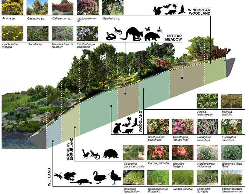 cx-landscape-ribbons-of-life-living-bridge-canberra-australia-06-27-2019-designboom