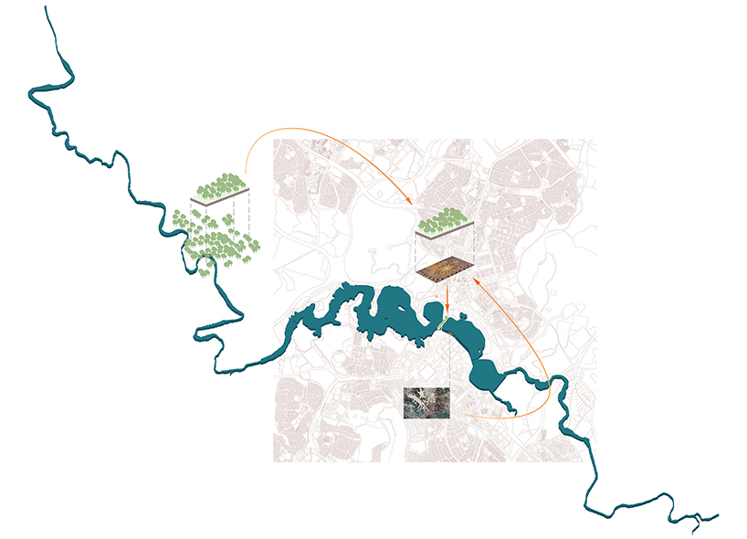 cx-landscape-ribbons-of-life-living-bridge-canberra-australia-06-27-2019-designboom