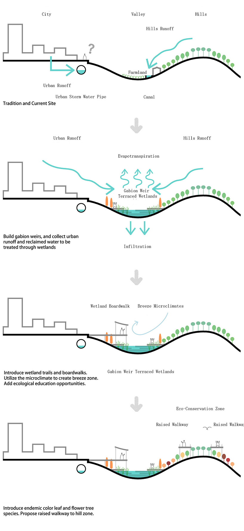 cx landscape designed the phoenix nest for a hillside wetland park 11