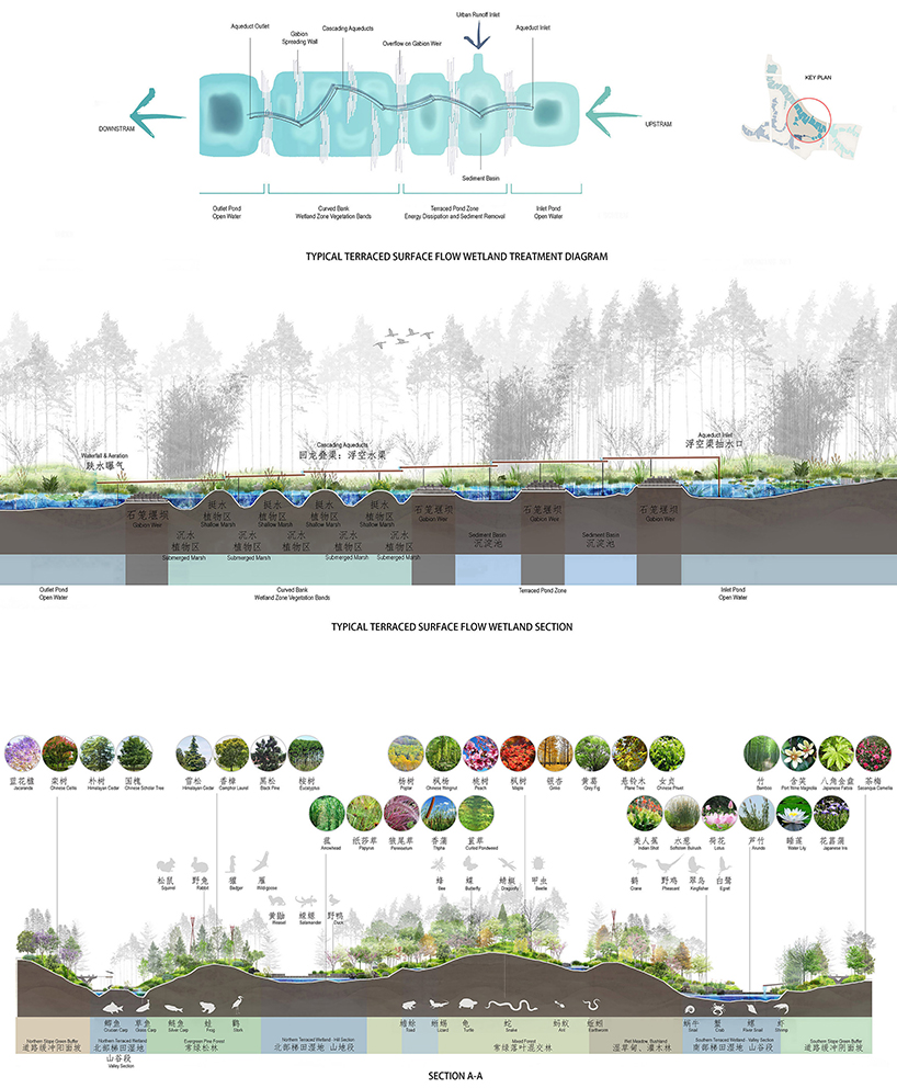 cx landscape designed the phoenix nest for a hillside wetland park 3